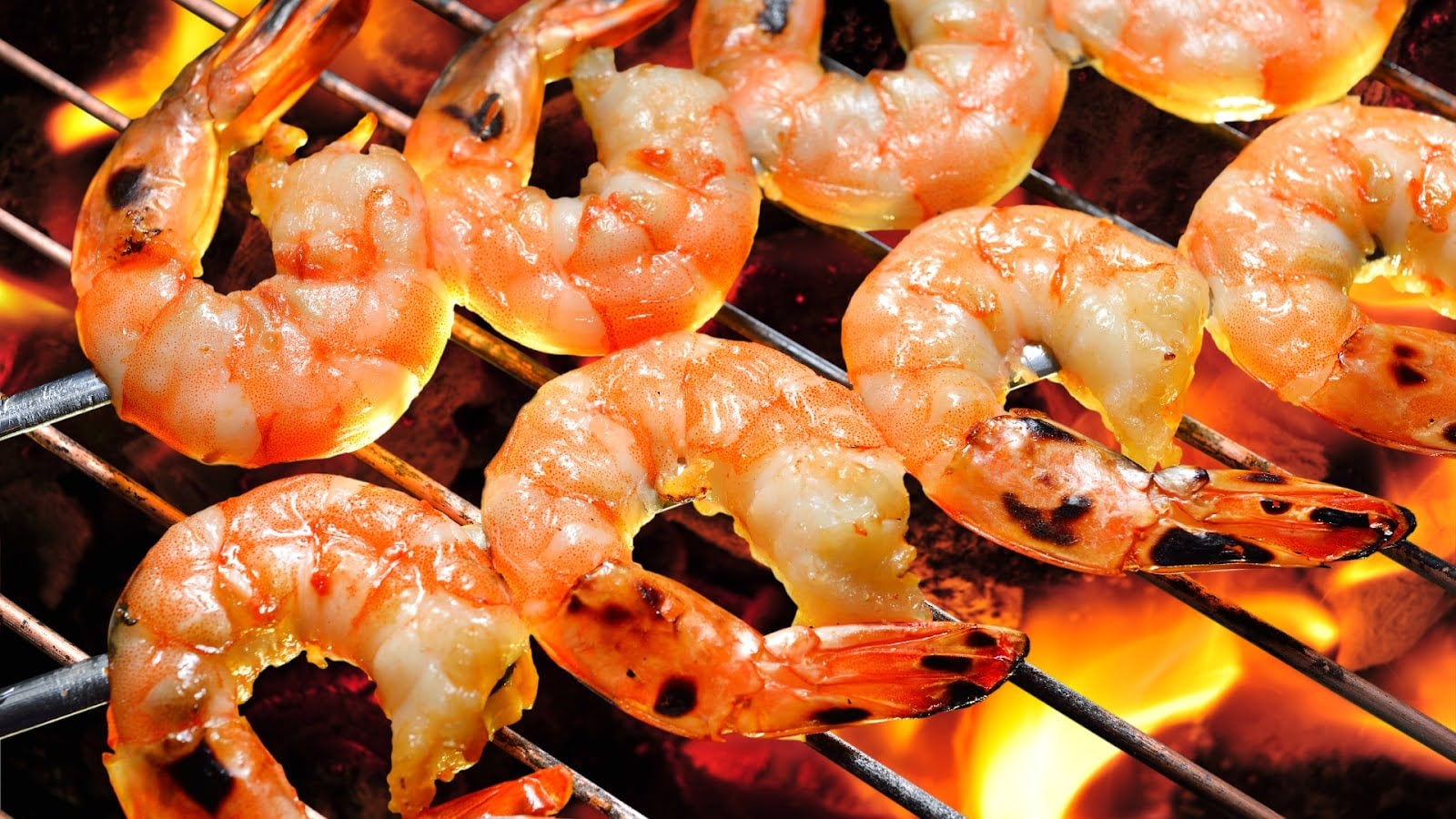 Sea Food Bars and Grills