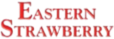 Eastern Strawberry