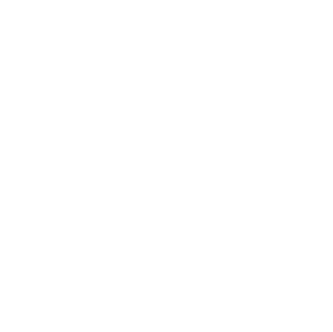 fritangacarnitas.com favicon