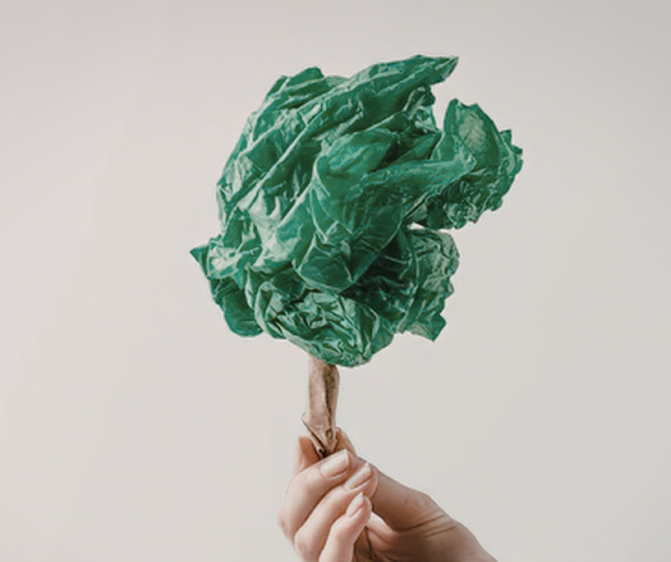 greenwashing in the restaurant industry